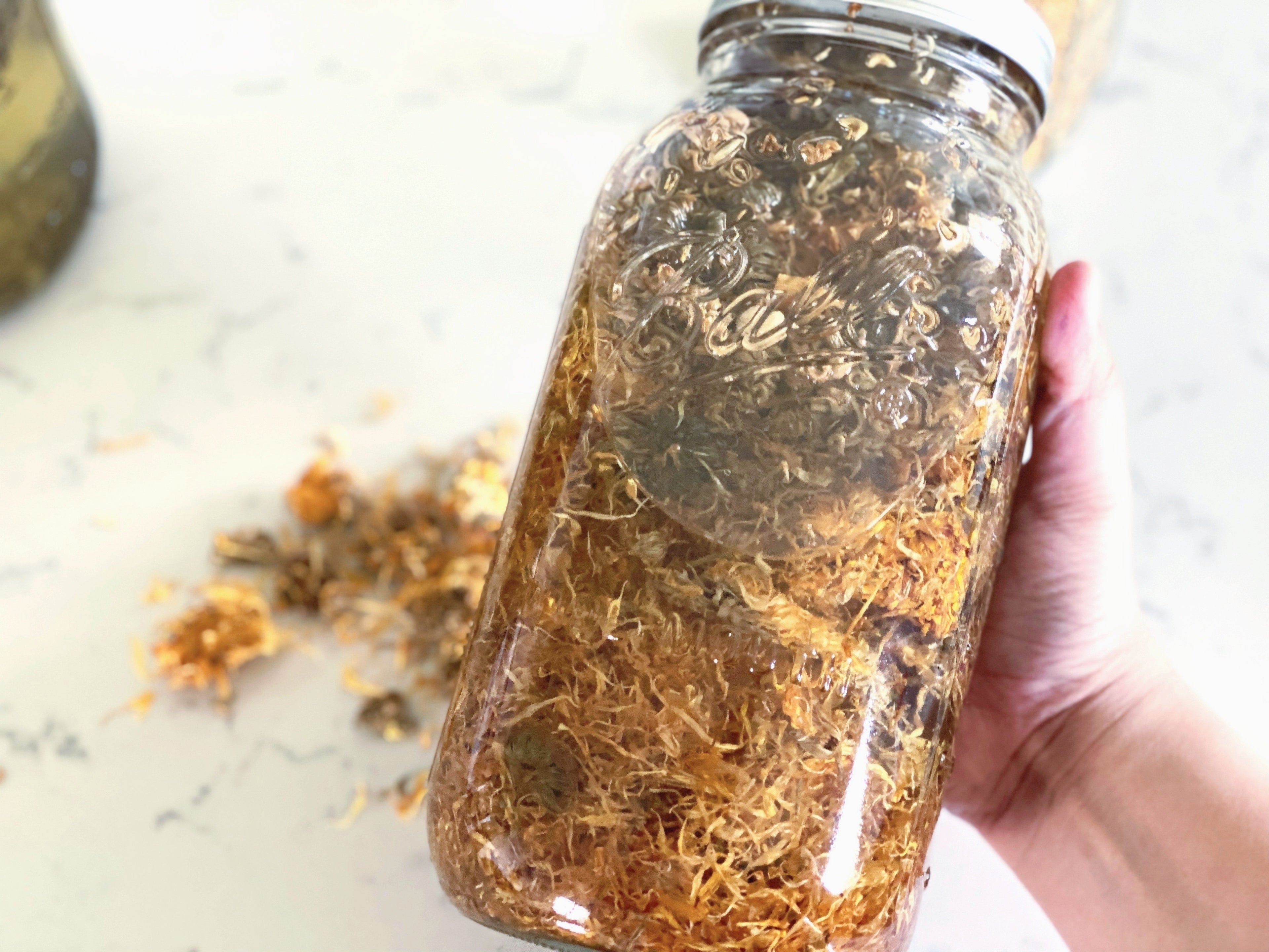 overhead view of half gallon mason jar with calendula petals infusing in oil above a quartz countertop.