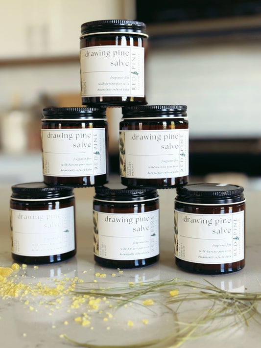 Drawing Pine Salve | Wild-Harvest Pine Resin Balm